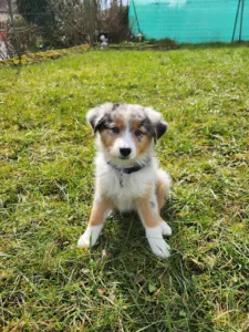 Morruzzi-Durand SCP à Lantéfontaine