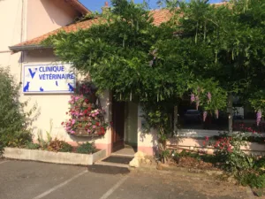 Veterinary Clinic Delsaut à Valdoie