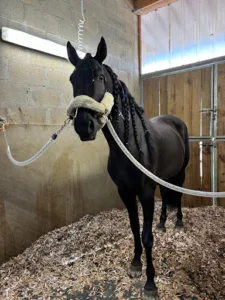 Clinique Equine du Moulin D’Ecalles à Buchy