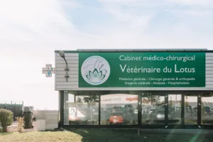 Cabinet Vétérinaire médico-chirurgical du Lotus à Hettange-Grande