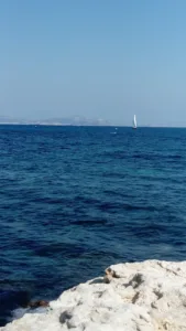 Clinique Vétérinaire à Sausset-les-Pins