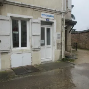 Cabinet Vétérinaire du Dr Nathalie Pirard à Givry