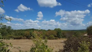 Bousquet Dominique à Ajat