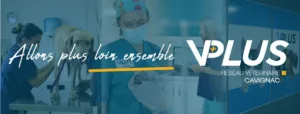 Veterinary Clinic VPLUS Cavignac à Cavignac