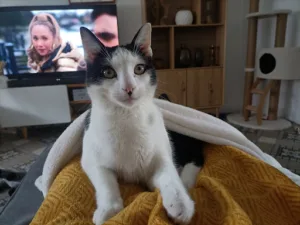 Auger Cédric à Wallers