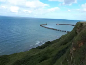 Clinique Equine de la Madelaine à Cussy