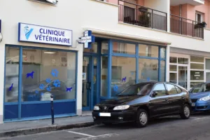 Clinique vétérinaire Brunoy centre à Brunoy