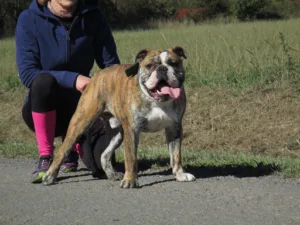 Docteur Huchette-Fouquet Amandine à Marpent