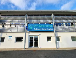 Emmenez votre animal de compagnie pour des soins et suivis auprès avec CABINET VÉTÉRINAIRE VET’ SWEET HOME inscrit dans notre annuaire pour trouver votre Vétérinaire autour de moi sur Périgny pour prendre soin de votre chat, chien, etc. CABINET VÉTÉRINAIRE […]