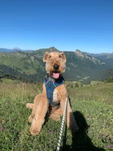 Lavanchy Laurence à Montriond