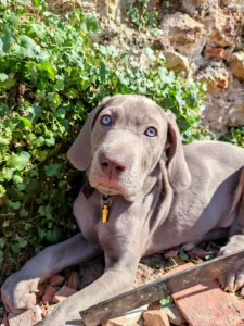 Matray Olivier 07 83 91 13 57 à Mormant