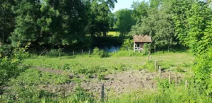 Cabinet Vétérinaire de la Ferme du Bassin à Proverville