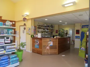 VET&SPHÈRE Quintin à Quintin