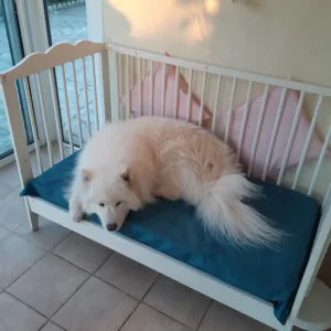 Clinique Vétérinaire Du Pennant Bleu à Neuvy-le-Roi