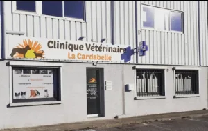Clinique Vétérinaire La Cardabelle à Jacou