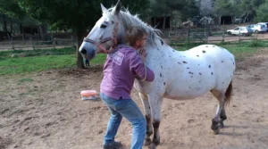 Cabinet Vétérinaire Vet&Sens Médecine Intégrative – Dr David Halloy à Ventenac-en-Minervois