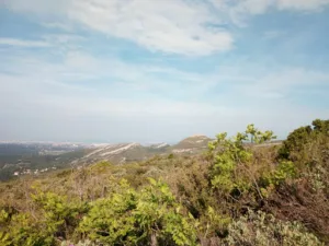 Baron SCP à Roquefort-la-Bédoule