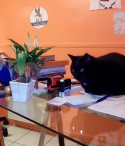 Gérard Valérie à Les Mages