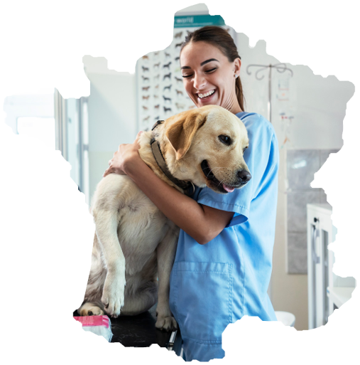 Annuaire et informations Annuaire Vétérinaire