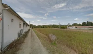 Cabinet veterinaire Palmas Pinet à Mirepoix