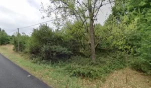 Pioche Marie-Noëlle à Avrillé-les-Ponceaux