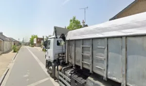 Renard Olivier à Issé