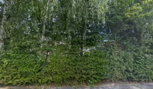 Centre Vétérinaire Docteurs Colle Dupont à Marconne