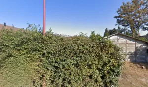 Dr Lore Archambeau, vétérinaire à domicile à Cerisy-Belle-Étoile