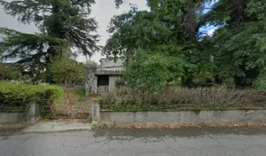 Clinique Veterinaire Des Platanes à Nay