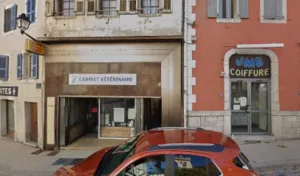 Clinique Vétérinaire Laurent Masson à Saint-Jeoire