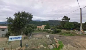 Navarro Marc Vétérinaire à Figari