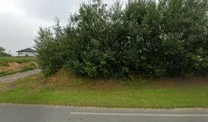 Centre Vétérinaire Abraham Carré Legault SCP à Beaurainville