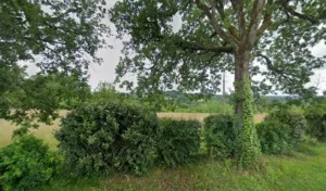 Vétérinaire Ostéopathe. DV Hachez Aurore à Preyssac-d'Excideuil