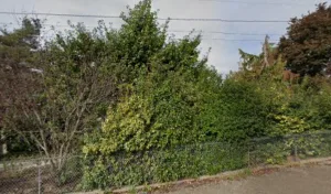 Cordellier Emmanuel à Gy