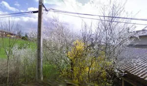 Céline technicien dentaire équin à Les Côtes-d'Arey