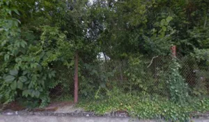 cabinet vétérinaire à Le Menoux