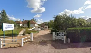 Cabinet Vétérinaire De Loué à Mareil-en-Champagne