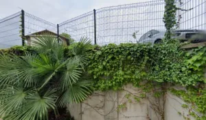 Docteur Vétérinaire Demol à Le Passage