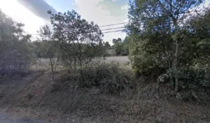 Susini Veronique à Peyrolles-en-Provence