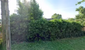 Parot Anne-Sophie Arolyse à Maisons-Laffitte