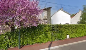 Nicolas Jean Francois à Saint-Leu-la-Forêt